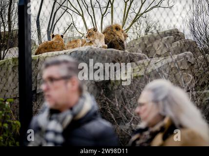 AMSTERDAM - visitatori di Artis il giorno di Natale. Il più antico zoo dei Paesi Bassi si avvolge in un'atmosfera invernale durante i mesi festivi. ANP REMKO DE WAAL netherlands Out - belgium Out Foto Stock