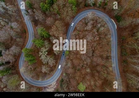 Strada tortuosa attraverso la foresta autunnale. Foto Stock