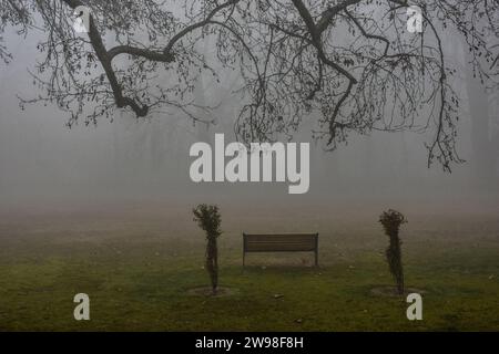 Srinagar, India. 25 dicembre 2023. Una vista del parco pubblico durante una nebbia a Srinagar, la capitale estiva di Jammu e Kashmir. (Foto di Saqib Majeed/SOPA Images/Sipa USA) credito: SIPA USA/Alamy Live News Foto Stock