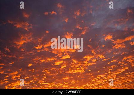 Durtal, Francia. 20 dicembre 2023. © PHOTOPQR/LE COURRIER DE l'OUEST/AURELIEN BREAU ; DURTAL ; 24/12/2023 ; LE CIEL A PRIS une COULEU FEU JUSTE AVANT LE COUCHER DE SOLEIL LE 24 DICEMBRE 2023 Un inferno di Natale DURTAL al tramonto nella Francia nord-occidentale credito: MAXPPP/Alamy Live News Foto Stock