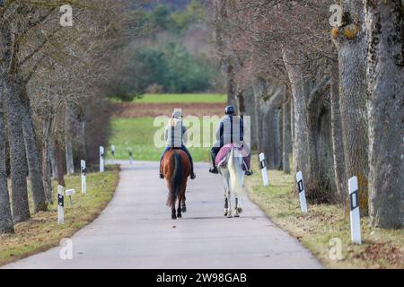 Langenenslingen, Germania. 25 dicembre 2023. Due cavalieri cavalcano in un viale vicino a Ittenhausen nell'Alb sveva il giorno di Natale. Crediti: Thomas Warnack/dpa/Alamy Live News Foto Stock