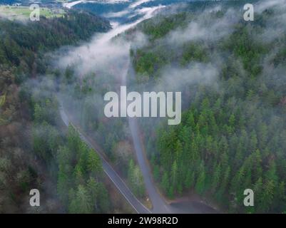 Strada che si snoda attraverso una mistica foresta nebbiosa, vista aerea, Neubulach, Foresta Nera, Germania Foto Stock