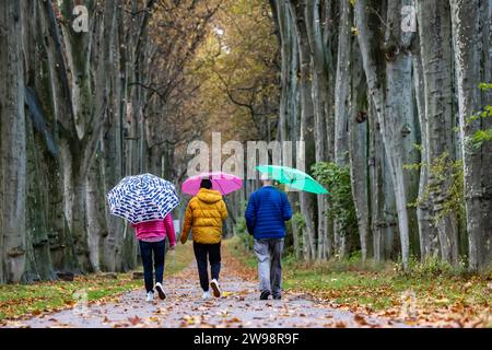 Camminata autunnale con ombrello in caso di pioggia, tre persone camminano attraverso il viale degli alberi nel giardino del palazzo inferiore di Stoccarda Foto Stock