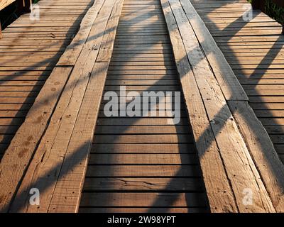 Una vista panoramica di un sentiero in legno che si snoda attraverso un prato lussureggiante e erboso, con alberi che gettano ombre lungo il sentiero Foto Stock