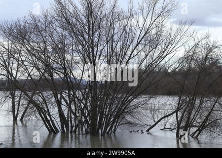 Dicembre 25, 2023. Szentendre, Ungheria tempo, il giorno dopo Natale l'acqua del Danubio è molto alta. Credit Ilona Barna, BIPHOTONEWS, Alamy Live News Foto Stock