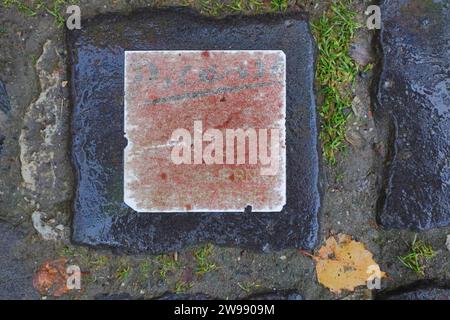 Dicembre 25, 2023. Szentendre, Ungheria tempo, il giorno dopo Natale l'acqua del Danubio è molto alta. Credit Ilona Barna, BIPHOTONEWS, Alamy Live News Foto Stock