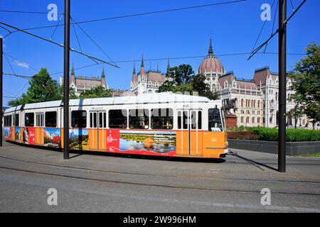 Tram n.. 23 passando accanto all'edificio del Parlamento ungherese a Budapest, Ungheria Foto Stock