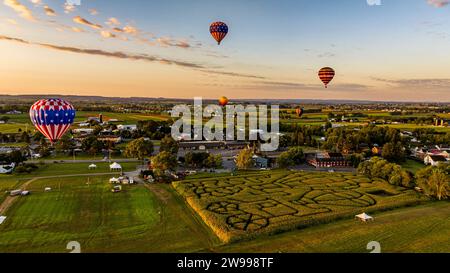 Una vista aerea di più mongolfiere che galleggiano nella Pennsylvania rurale, brillando su un labirinto di mais, all'alba in una soleggiata mattinata d'estate Foto Stock