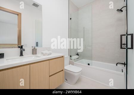 bagno moderno e minimalista con vasca, lavandino e specchio Foto Stock