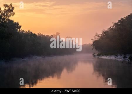 Tranquillo e nebbioso panorama delle mangrovie all'alba nel parco nazionale di Sundarbans, un sito patrimonio dell'umanità dell'UNESCO, Bangladesh Foto Stock