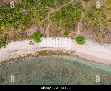 Mare e costa con vista aerea delle palme con droni. Vista dall'alto, incredibile sfondo naturale a Bali, Indonesia Foto Stock