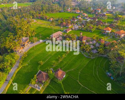 Vista aerea con droni delle verdi risaie di Ubud, isola di Bali, Indonesia. Terrazze situate vicino al centro città Foto Stock