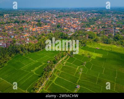 Vista aerea del centro storico di Ubud con templi e molte case con tetto rosso nel centro culturale di Bali, Indonesia Foto Stock