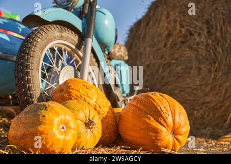 Grandi zucche preparate per una grande festa di Halloween contro una vecchia motocicletta in fattoria. Vista angolare bassa delle zucche mature davanti alla motocicletta blu parcheggiata accanto alla balla di fieno in autunno. Concetto di campagna. Foto Stock