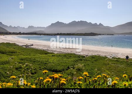 La luce del sole bagna la spiaggia di Rambergstranda nella baia di Jusnesvika nel Lofoten, accentuando il contrasto tra i prati verdeggianti e lo scintillante mare azzurro Foto Stock