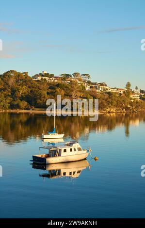 Una vista da Bicton attraverso il fiume Swan a Chidley Point nel Parco Mosman con una barca e uno yacht al mattino presto, Perth, Australia Occidentale. Foto Stock