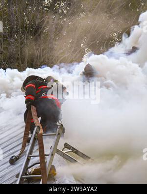 Youngstown, Florida, Stati Uniti 20 dicembre 2023. Nel bel mezzo di un caotico incendio domestico, una squadra di coraggiosi vigili del fuoco è impegnata in un'impresa di alto livello Foto Stock