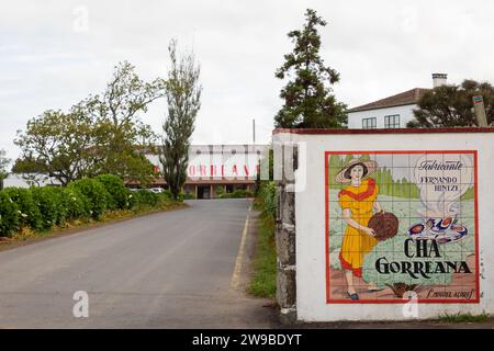 Piantagione di tè Cha Gorreana a Sao Miguel, Isole Azzorre Foto Stock