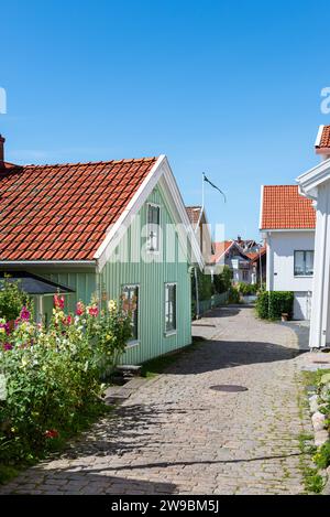 Hollyhocks di fronte alle facciate colorate della città vecchia di Mollösund, nell'arcipelago della costa occidentale svedese Foto Stock