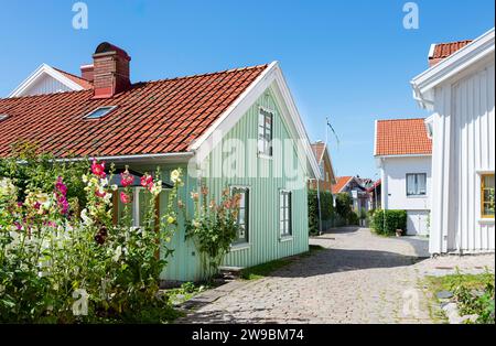 Hollyhocks di fronte alle facciate colorate della città vecchia di Mollösund, nell'arcipelago della costa occidentale svedese Foto Stock
