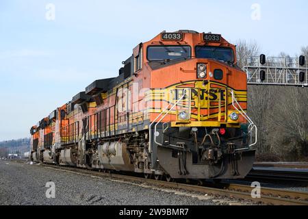 Seattle, WA, USA - 20 dicembre 2023; linea di locomotive merci BNSF in attesa di servizio sui binari di Seattle Foto Stock