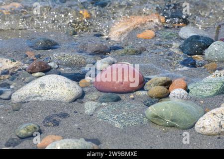 Mescola pietre rosse verdi e colorate in acque oceaniche poco profonde Foto Stock