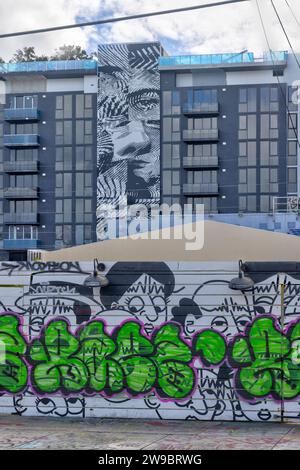 Graffiti o murales dipinti nelle facciate degli edifici al Wynwood di Miami, Florida, il 21 dicembre 2023 Foto Stock