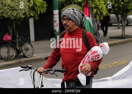 Città del Messico, Messico. 26 dicembre 2023. Uomo che si è Unito alla causa dei 43 studenti scomparsi, portando con sé uno striscione sanguinoso che rappresenta i bambini morti in Palestina, chiedendo la fine del genocidio in Palestina. Crediti: Luis e Salgado/Alamy Live News Foto Stock