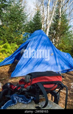 Tenda presso l'Unknown Pond Tentsite a Kilkenny, New Hampshire; questo campeggio si trova al di fuori dell'Unknown Pond Trail, vicino allo Unknown Pond. Foto Stock