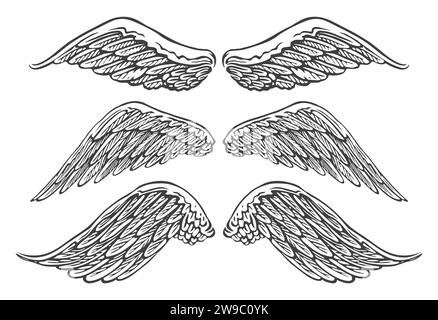 Ali di uccelli o angeli di varie forme in posizione aperta. Disegno a mano illustrazione vettoriale vintage Illustrazione Vettoriale