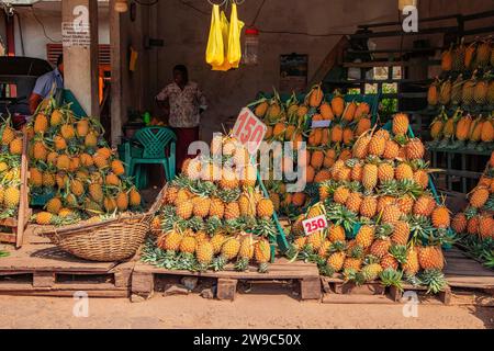 Sri Lanka, 10 febbraio 2023. Una grande pila di ananas maturi viene esposta in vendita in un negozio di fruttivendolo in Sri Lanka. Foto Stock