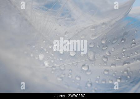 Molte piume bianche soffici con gocce d'acqua come sfondo, primo piano Foto Stock