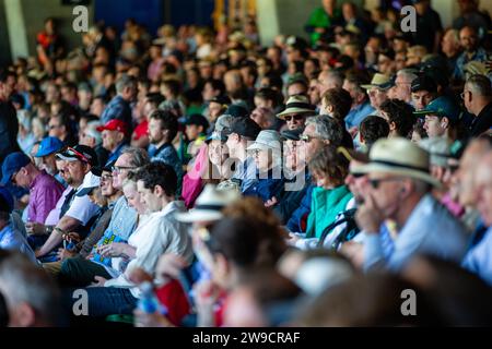 Melbourne, Australia, 27 dicembre 2023. I tifosi di cricket guardano il giorno 2 della partita di Boxing Day test - giorno 2 tra Australia e Pakistan al Melbourne Cricket Ground il 27 dicembre 2023 a Melbourne, in Australia. Crediti: Dave Hewison/Speed Media/Alamy Live News Foto Stock