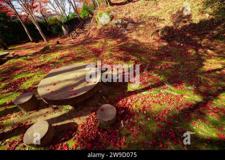 Foglie rosse al parco Kasagiyama momiji di Kyoto in autunno Foto Stock