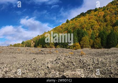 Paesaggio astratto geometrico con campo lavico, colorata foresta mista e nuvole bianche nel cielo blu, Parco dell'Etna, Sicilia, Italia Foto Stock