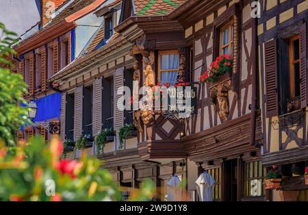 Ribeauville, Francia - 2 giugno 2023: Pfifferhus, ristorante alsaziano di winstub in una casa a graticcio con fiori in un villaggio sulla strada del vino alsaziano Foto Stock