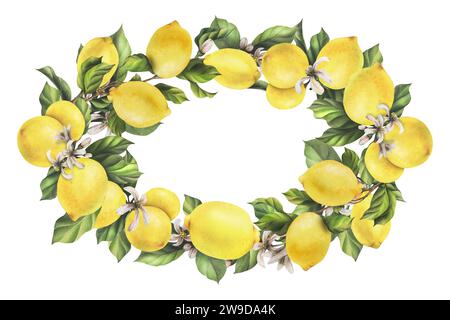 I limoni sono gialli, succosi, maturi con foglie verdi, boccioli di fiori sui rami, interi e a fette. Acquerello, illustrazione botanica disegnata a mano. Ovale Foto Stock