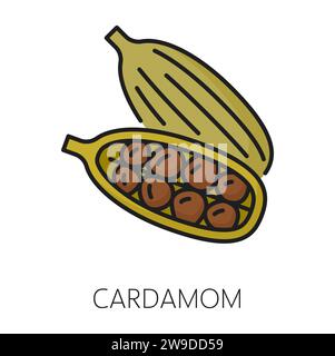 Icona contorno colore cialde di cardamomo e semi. Ingrediente per condimenti speziati vettoriali, condimento crudo profumato al cardamomo, pianta biologica Illustrazione Vettoriale