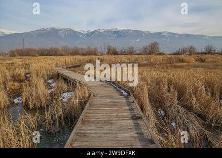 Una passerella lungo il sentiero naturalistico di Farmington Bay con la catena montuosa Wasatch sullo sfondo Foto Stock