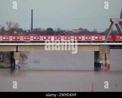 Blick auf Die Hammer Eisenbahnbruecke ueber den Rheinstrom bei Hochwasser mit einer passierenden S-Bahn Weihnachtshochwasser Ponte sull'acqua tormentata mit Eisenbahn *** Vista del ponte ferroviario Hammer sul Reno in alto con un passaggio della S-Bahn Ponte di inondazione di Natale sull'acqua tormentata con la ferrovia Foto Stock