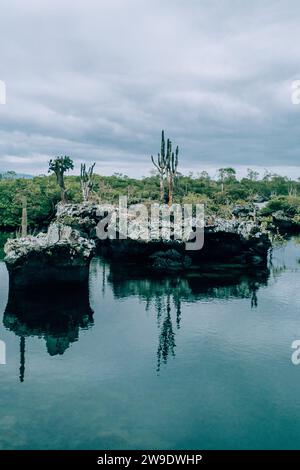 Acque calme circondate da formazioni rocciose e cactus a Los Tuneles, Isla Isabela, Galapagos, Ecuador Foto Stock