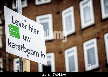 AMSTERDAM - Un cartello qui, consegna il tuo albero di Natale in un punto di raccolta dell'albero di Natale dopo le vacanze. ANP ROBIN UTRECHT paesi bassi fuori - belgio fuori Foto Stock