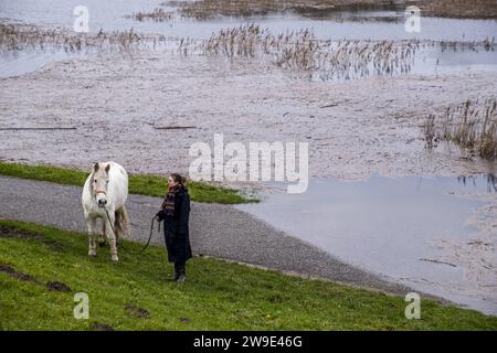 Olanda, Nijmegen, 27-12-2023, - Un cavallo è attraversato da due donne attraverso l'Ooijse Bandijk. L'animale può pascolare per un po' in un pascolo non allagato. Foto: ANP MANON BRUININGA netherlands Out - belgium Out Foto Stock