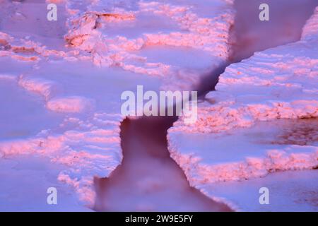 Spring Creek a molla tavolozza a Mammoth Hot Springs, il Parco Nazionale di Yellowstone, Wyoming Foto Stock