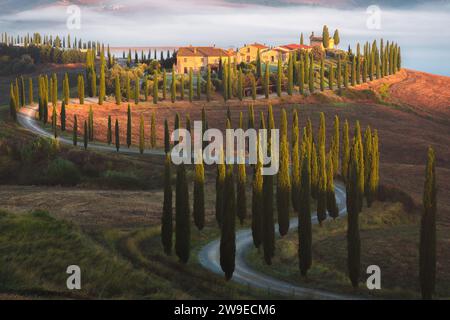 Una tortuosa strada di campagna fiancheggiata da cipressi toscani conduce ad un casale rurale con nebbia di valle mattutina nel paesaggio paesaggistico della campagna Foto Stock