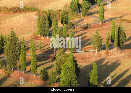 Una tortuosa strada di campagna fiancheggiata da cipressi toscani fuori Monticchiello, immersa nel paesaggio paesaggistico di dolci colline e terreni agricoli di rura Foto Stock