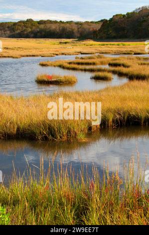 Acqua di sale palude, granaio Island Wildlife Management Area, Connecticut Foto Stock