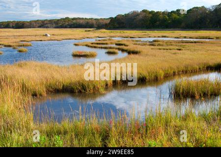 Acqua di sale palude, granaio Island Wildlife Management Area, Connecticut Foto Stock