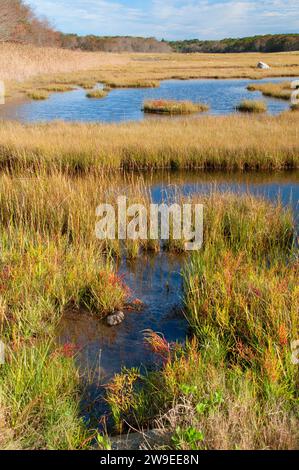 Acqua di sale palude, granaio Island Wildlife Management Area, Connecticut Foto Stock