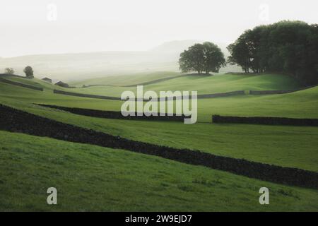 Nebbia suggestiva lungo vecchie mura di pietra e colline ondulate nella campagna rurale inglese di Wensleydale, Yorkshire Dales National Park. Foto Stock